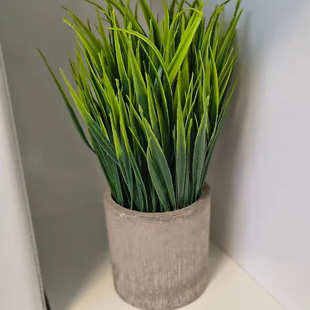 Lejlighed Martinez Rosalia *