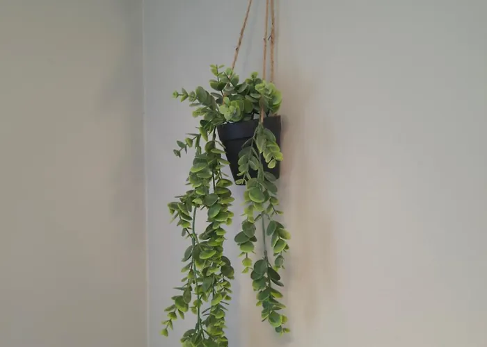 Martinez Rosalia * Padrón